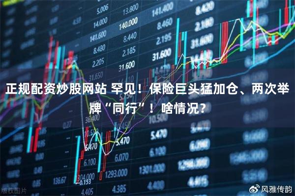 正规配资炒股网站 罕见!保险巨头猛加仓、两次举牌“同行”!啥情况?